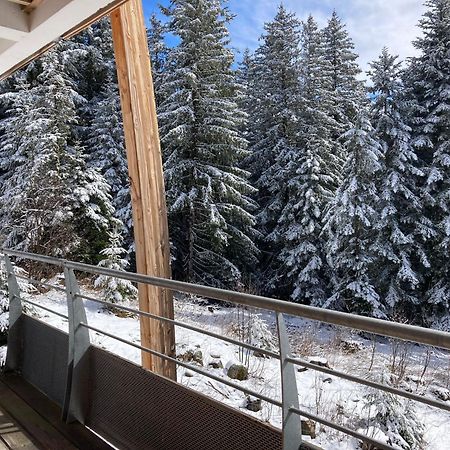 Studio Chamrousse 1700 Pour 4 Personnes - Au Calme - Avec Wifi Екстер'єр фото