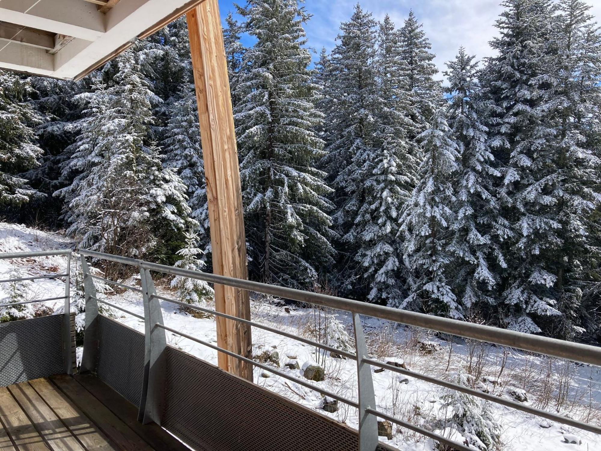 Studio Chamrousse 1700 Pour 4 Personnes - Au Calme - Avec Wifi Екстер'єр фото