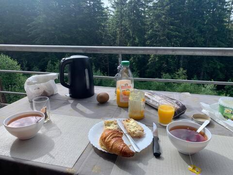 Studio Chamrousse 1700 Pour 4 Personnes - Au Calme - Avec Wifi Екстер'єр фото